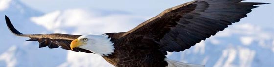 פרק שירה ליום רביעי