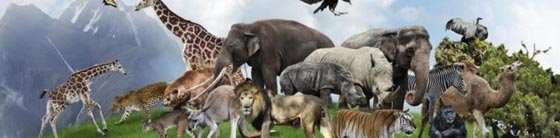 Transliterated Perek Shira