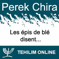 Perek Chira : Les épis de blé disent