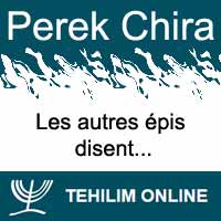 Perek Chira : Les autres épis disent