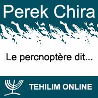 Perek Chira : Le percnoptère dit