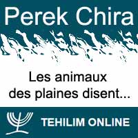 Perek Chira : Les animaux des plaines disent 