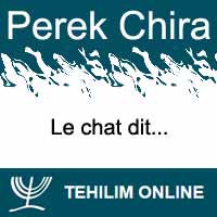 Perek Chira : Le chat dit