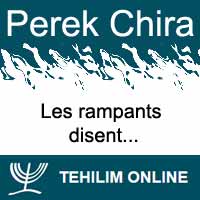 Perek Chira : Les rampants (reptiles principalement) disent 